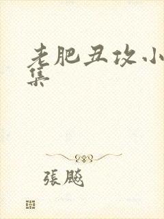 老肥丑攻小说合集