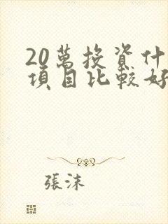 20万投资什么项目比较好