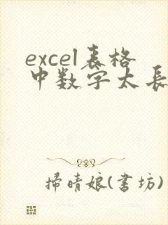 excel表格中数字太长超过怎么办
