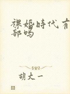 裸婚时代有第二部吗