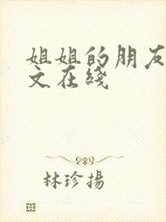 姐姐的朋友2中文在线
