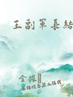 王副军长结局