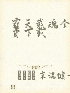 霸天武魂全文免费下载