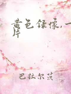 黄色录像,一级片