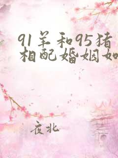 91羊和95猪相配婚姻如何