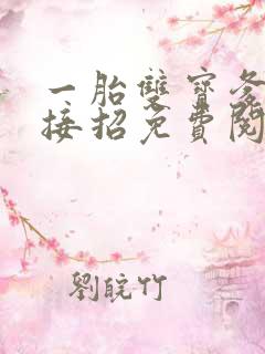 一胎双宝爹地请接招免费阅读