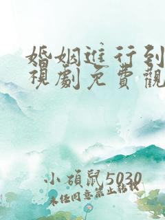 婚姻进行到底电视剧免费观看