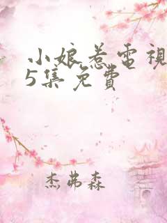 小娘惹电视剧45集免费