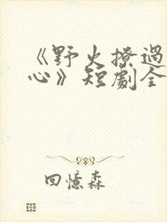 《野火撩过姐姐心》短剧全集免费观