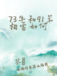 73牛和91羊相处如何
