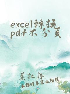 excel转换pdf不分页