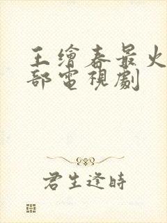王绘春最火的5部电视剧
