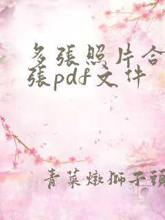 多张照片合成一张pdf文件