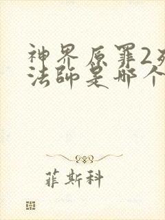 神界原罪2死灵法师是哪个职业