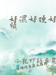 好湿好硬好爽视频