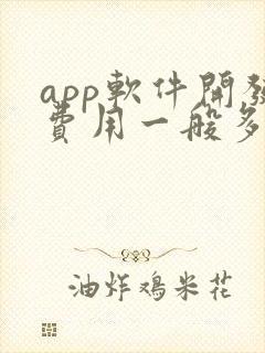 app软件开发费用一般多少钱