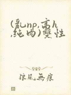 (乱np,高h,纯肉)双性