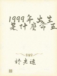 1999年出生是什么命五行属什么的