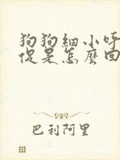 狗狗细小呼吸急促是怎么回事