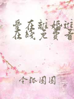 爱在离婚进行时在线免费看