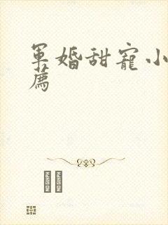军婚甜宠小说推荐