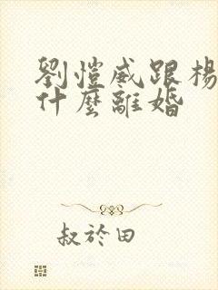 刘恺威跟杨幂为什么离婚