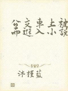 公交车上被从后面进入小说