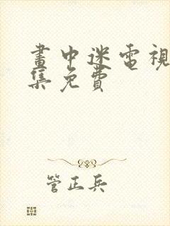 画中迷电视剧全集免费