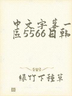 中文字幕一区二区5566日韩