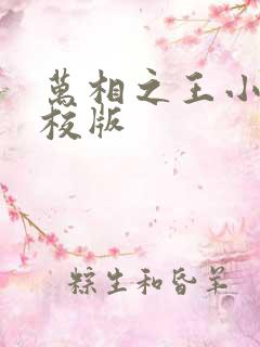 万相之王小说精校版