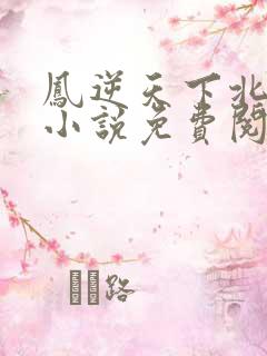 凤逆天下北月篇小说免费阅读