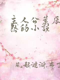 主人公叶辰萧初然的小说