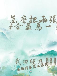 怎么把两张pdf合并为一页