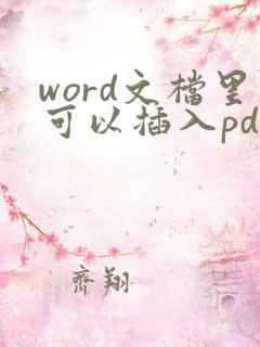 word文档里可以插入pdf文件吗