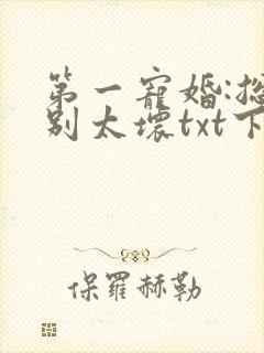 第一宠婚:总裁别太坏txt下载