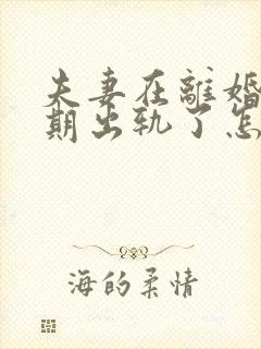 夫妻在离婚冷静期出轨了怎么办