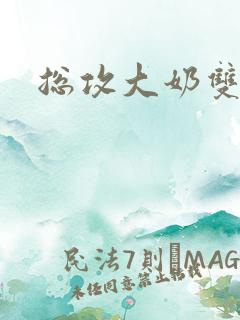 总攻大奶双性