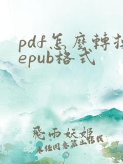 pdf怎么转换epub格式