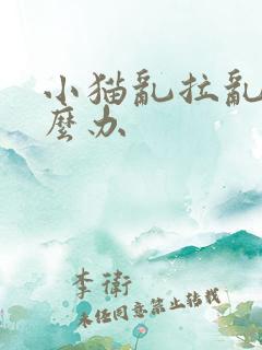小猫乱拉乱尿怎么办