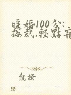 暖婚100分:总裁,轻点宠全本下载txt