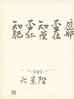 知否知否应是绿肥红瘦在哪播
