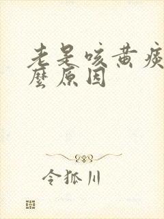 老是咳黄痰是什么原因