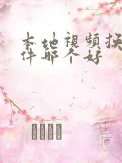 本地视频换脸软件哪个好
