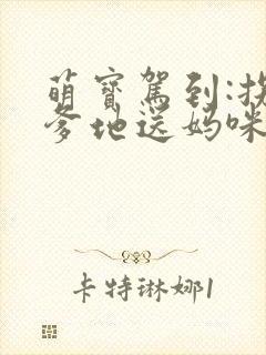 萌宝驾到:拐个爹地送妈咪