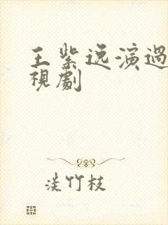 王紫逸演过的电视剧
