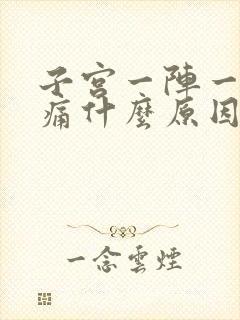 子宫一阵一阵的痛什么原因