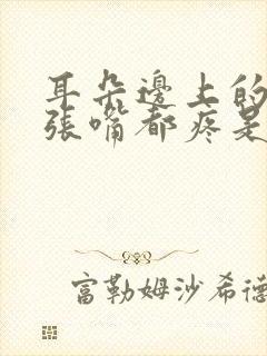 耳朵边上的骨头张嘴都疼是什么原因