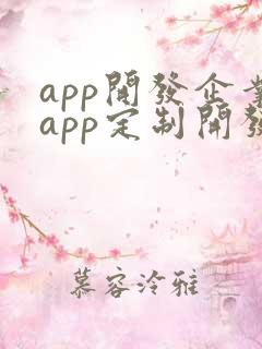 app开发企业app定制开发