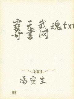 霸天武魂txt奇书网