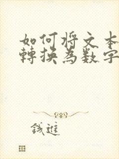 如何将文本格式转换为数字